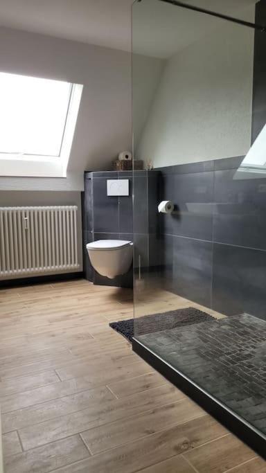 Apartment Schwarzwaldmaedel Friedenweiler Exteriör bild